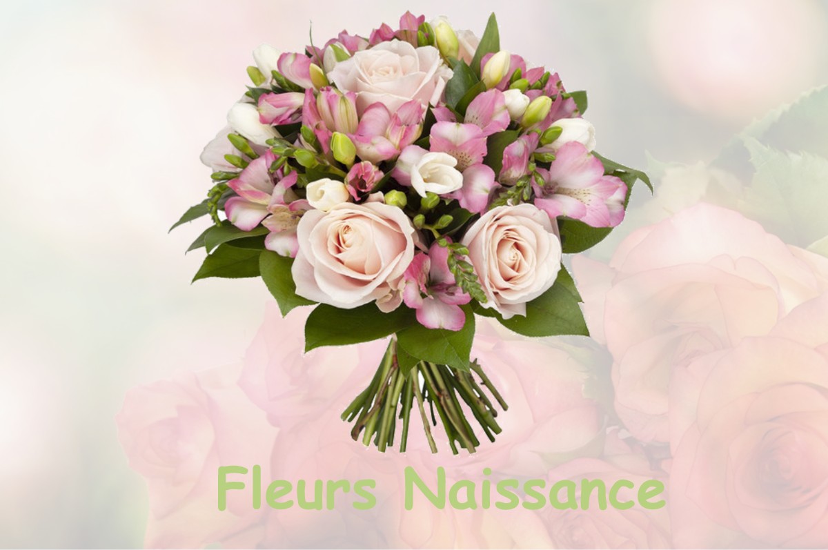 fleurs naissance BAGIRY